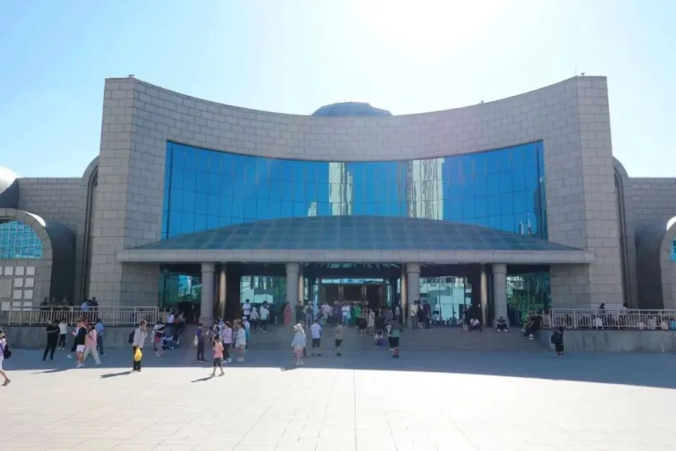 为什么智能减压可以帮助篮球运动员更好地应对比赛压力_0